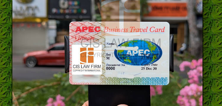 xuat-trinh-the-apec-tai-cua-khau